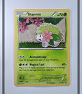 Shaymin XY188 Promo Pokemon ENG-LP