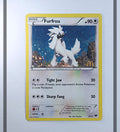 Furfrou 12/12 MCD14 Pokemon ENG-LP