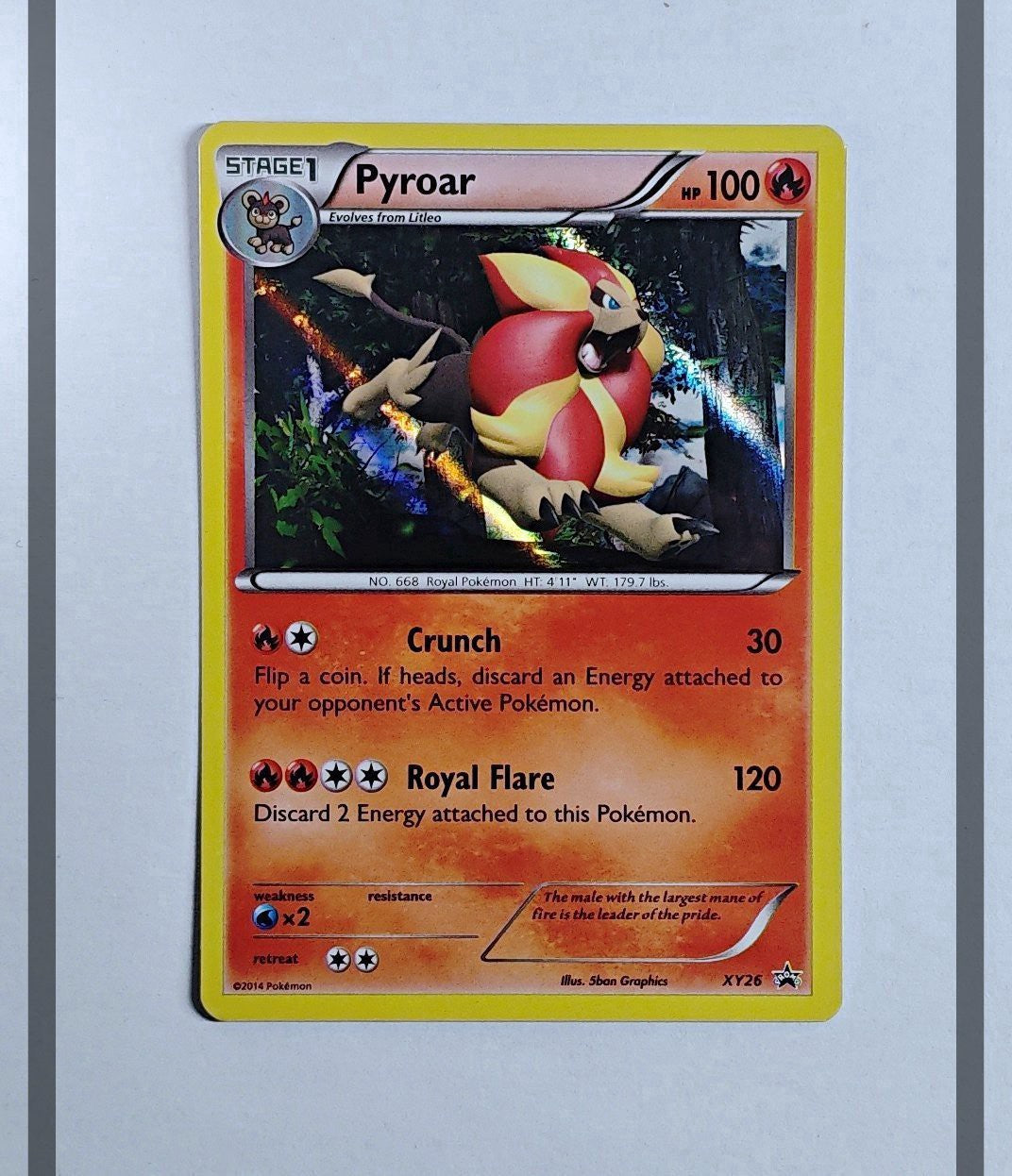 Pyroar XY26 Promo Pokemon ENG-NM